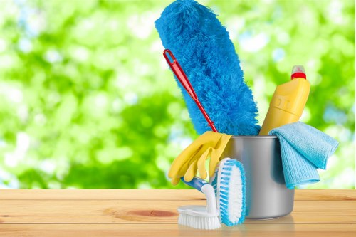 Professional home cleaners in Acton preparing a tidy living room