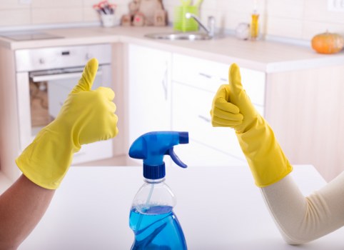 Local cleaners providing house cleaning in Acton for family properties