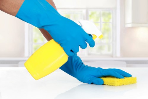 Eco-friendly oven cleaner in Acton restoring a kitchen appliance
