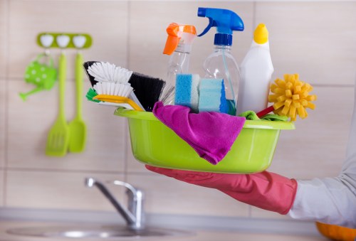 Professional carpet cleaning introduction for Acton Carpetcleaning