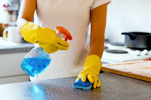 Regular domestic cleaning in Acton for a well-maintained living room