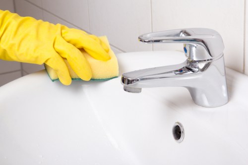 Professional cleaner in Acton providing home cleaning service