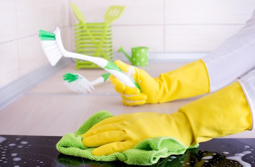 Eco-friendly cleaners in Acton maintaining a spotless living room