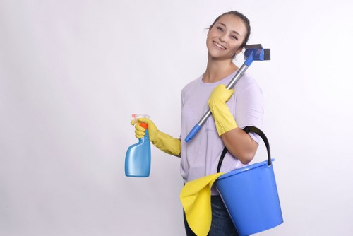 Upholstery stain removal and deep cleaning in Acton